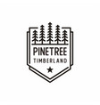 retro vintage line art evergreen pines spruce vector image vector image