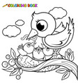cute birds in nest vector image