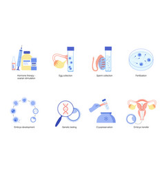 Reproductive system concept Royalty Free Vector Image