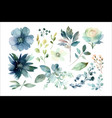 watercolor floral set decorative vector image vector image