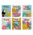 set tropical birds and flowers vector image vector image