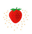 strawberry fruit icon vector image