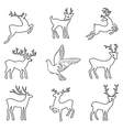 soaring dove deers vector image vector image