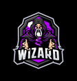 wizard mascot logo vector image