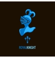 knight helmet royal design background vector image