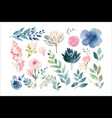 watercolor floral set decorative vector image vector image