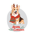 cute corgi with deers horns hand drawn flat color vector image vector image