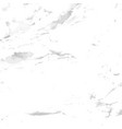 background of cement mortar texture vector image vector image