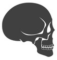 human skull side view head anatomy icon vector image