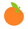 orange fruit icon hand drawn vector image