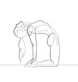camel yoga pose one single line icon vector image vector image
