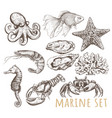 marine animals collection vector image