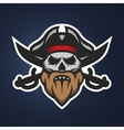 pirate captain skull and swords vector image