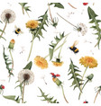 watercolor dandelion blowball pattern vector image