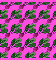 vintage radish seamless pattern radish vector image