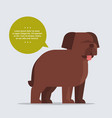 briard long haired dog with chat bubble speech vector image vector image
