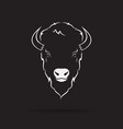 buffalo head design on black background wild vector image vector image