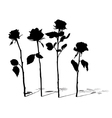roses silhouettes vector image
