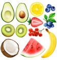 watercolor fruit set vector image