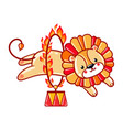 lion jumping through a flaming ring vector image