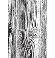 texture vector image
