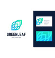 logo and business card template with green leaf vector image