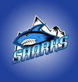sharks club professional logo vector image