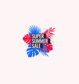 super summer sale abstract background with palm vector image