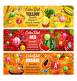 vitamin in fruits and veggies color diet days vector image vector image