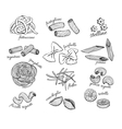 hand drawn pasta set vintage line art vector image