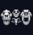 a set of animals skulls vector image