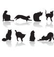 cat pose vector image