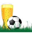 beer and soccer ball vector image