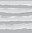 a set torn pieces paper in many size used vector image