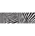 wild zebra wave pattern set with black and white vector image