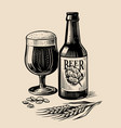 beer mug with bottle sketch hops and wheat vector image vector image