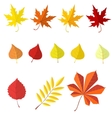 set of colorful autumn leaves vector image vector image