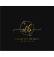initial db beauty monogram and elegant logo design vector image vector image
