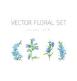 bright watercolor set of flowers with leaf vector image