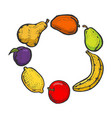 fruits sketch engraving vector image vector image