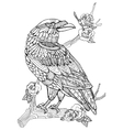 crow bird coloring book for adults vector image