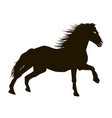 beautiful silhouette a running horse vector image