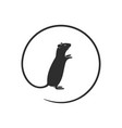 mouse vector image vector image