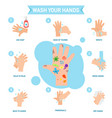 washing hands properly infographic vector image