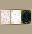 luxury glitter and marble set vector image