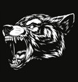 head of the ferocious wolf vector image