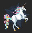 unicorn full colour horn pegasus artwork vector image vector image