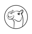 camel face vector image