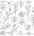 flower linear seamless background roses vector image