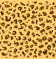 leopard pattern design vector image